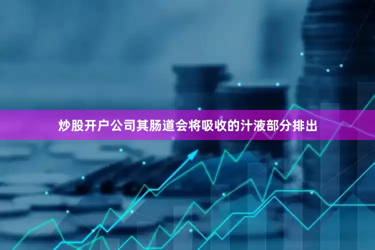 炒股开户公司其肠道会将吸收的汁液部分排出