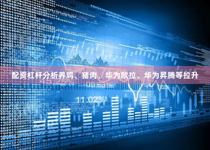 配资杠杆分析养鸡、猪肉、华为欧拉、华为昇腾等拉升