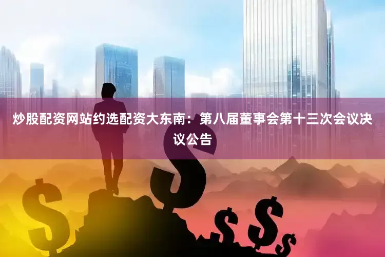 炒股配资网站约选配资大东南：第八届董事会第十三次会议决议公告