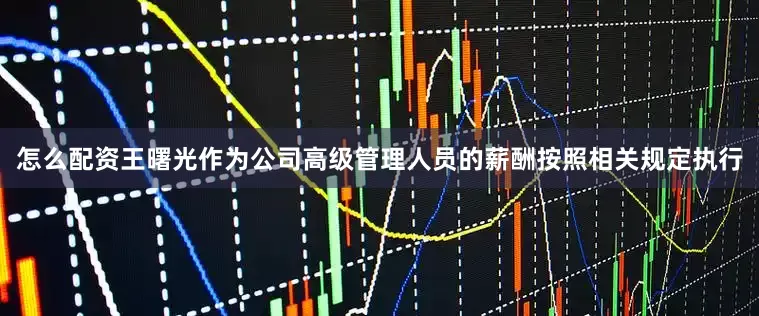 怎么配资王曙光作为公司高级管理人员的薪酬按照相关规定执行