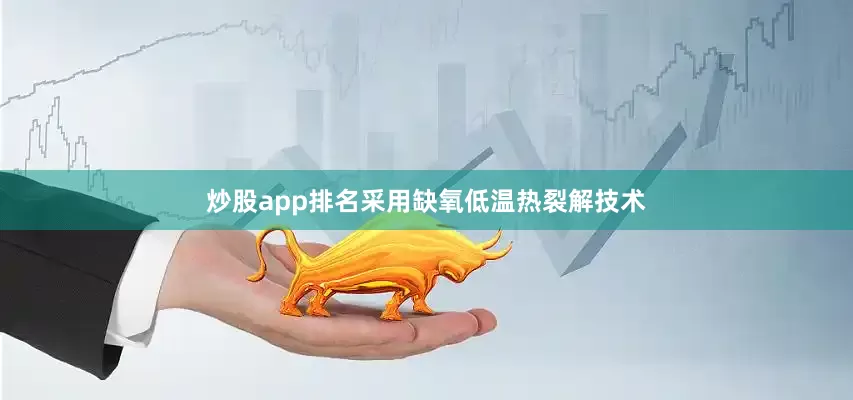 炒股app排名采用缺氧低温热裂解技术