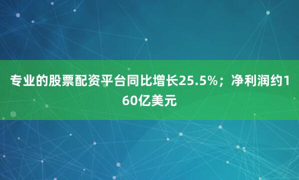 专业的股票配资平台同比增长25.5%；净利润约160亿美元